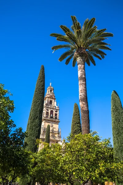 Il campanile della moschea e della cattedrale di Mezquita a Cordova, Sp — Foto Stock