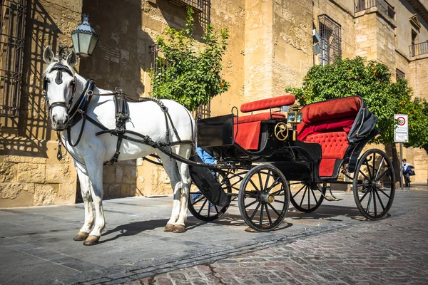 Cheval et chariot traditionnels à Cordoue Espagne - arrière-plan de voyage — Photo