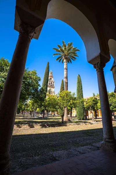 El campanario en la mezquita y catedral de Córdoba, Sp — Foto de Stock
