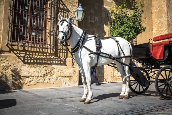 Cheval et chariot traditionnels à Cordoue Espagne - arrière-plan de voyage — Photo