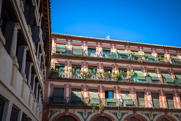 Plaza de la Corredera - Corredera plein in Cordoba, Andalusië, — Stockfoto