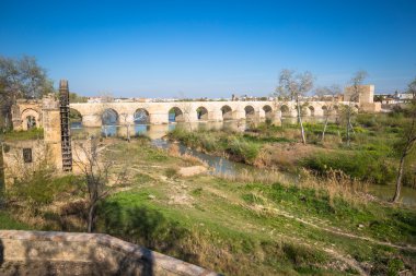 Köprü, Cordoba, İspanya - doğa ve mimari arka plan