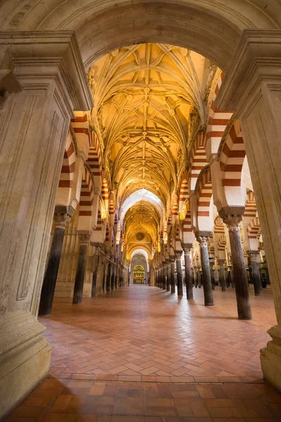 Kathedraal van La Mezquita in Cordoba, Spanje. De kathedraal werd gebouwd — Stockfoto