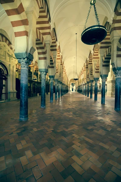 Katedralen La Mezquita i Cordoba, Spanien. Katedralen byggdes — Stockfoto