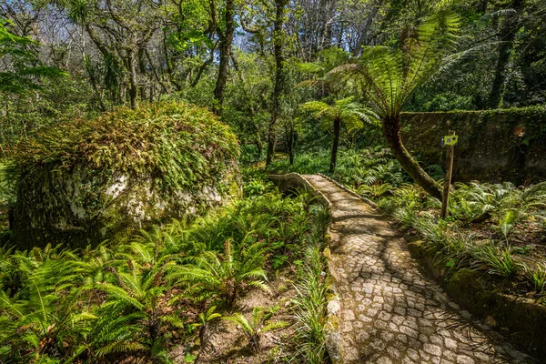 Garden of eden garden located in Sintra, Portugal — Stock Photo, Image