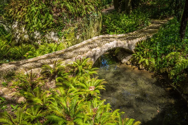 Garden of eden garden znajduje się w mieście Sintra, Portugalia — Zdjęcie stockowe