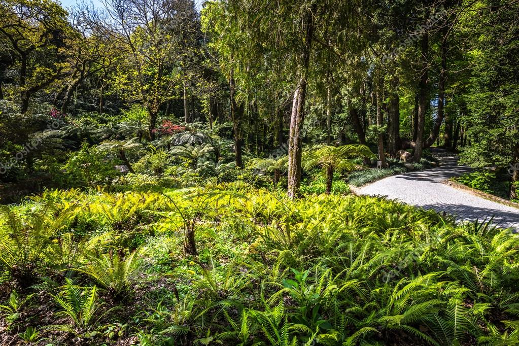 Garden Of Eden Garden Located In Sintra Portugal Stock Photo