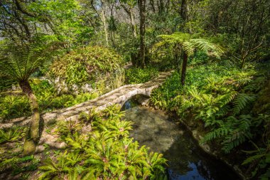 Portekiz, Sintra Monserrate sarayın Bahçe