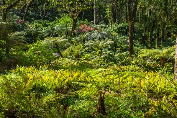 Portogallo, giardino del Palazzo Monserrato a Sintra — Foto Stock