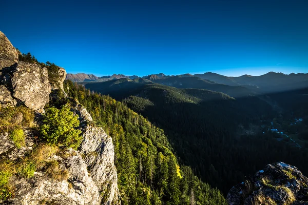 Uitzicht op tatra bergen van het wandelpad. Polen. Europa. — Stockfoto