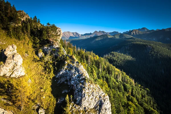 Uitzicht op tatra bergen van het wandelpad. Polen. Europa. — Stockfoto