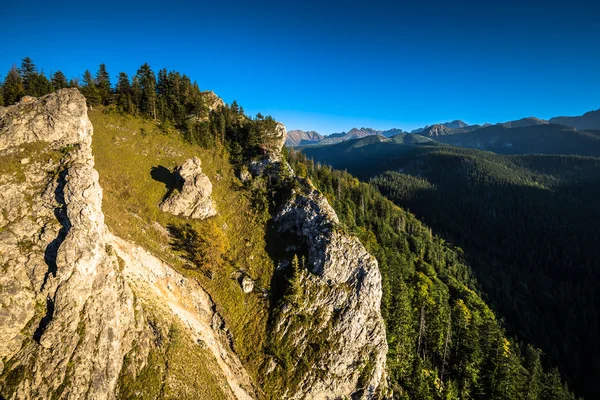 Uitzicht op tatra bergen van het wandelpad. Polen. Europa. — Stockfoto