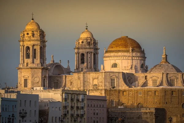 Cadiz, Andalúzia, Spanyolország-székesegyház. — Stock Fotó