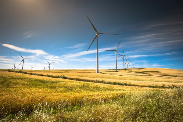 Windmills for electric power production — Stock Photo, Image