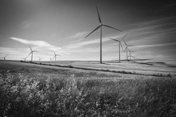 Windmills for electric power production — Stock Photo, Image
