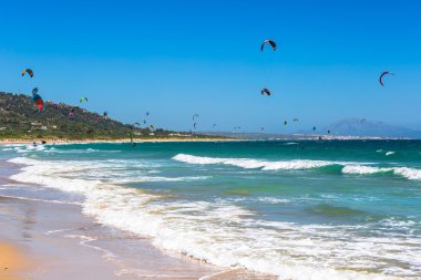 kites flying over Tarifa beach clipart