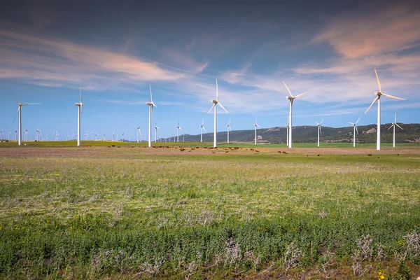 Wiatraki do produkcji energii elektrycznej — Zdjęcie stockowe