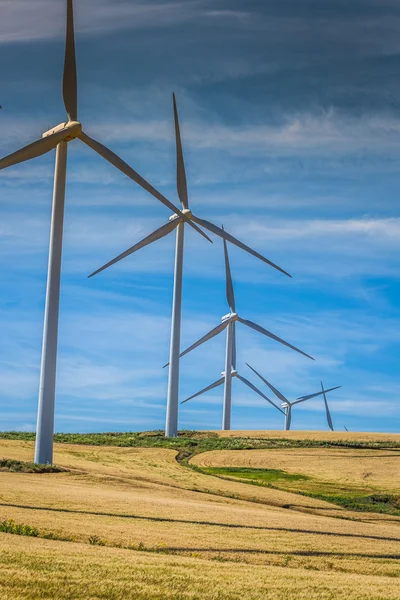 Windmills for electric power production — Stock Photo, Image