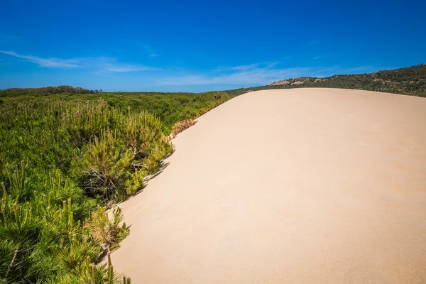 Dune de sable de Bolonia plage, province de Cadix, Andalousie, Espagne — Photo