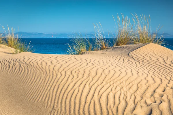 Dune of Punta Paloma, Tarifa, Andalusia, Spain — Stock Photo, Image