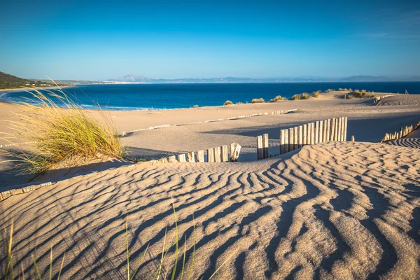 Duin van Punta Paloma, Tarifa, Andalusië, Spanje — Stockfoto