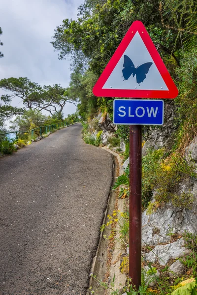 Road sign ordering slowing — Stock Photo, Image