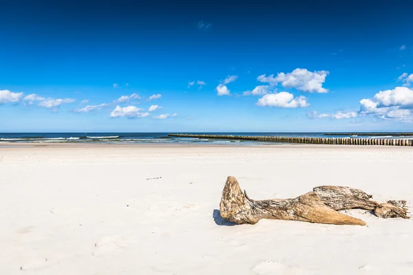 Песчаный пляж в городе Леба, Балтийское море, Польша — стоковое фото