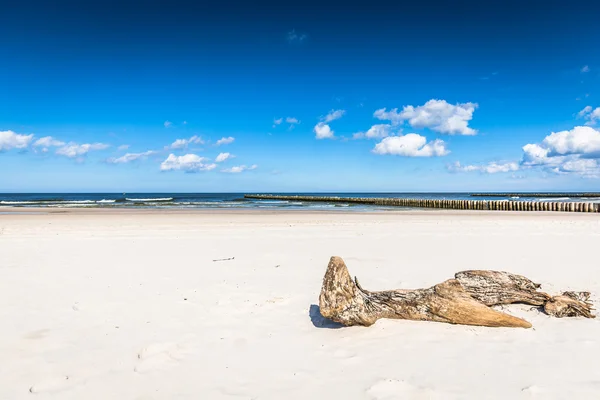 Plage de sable fin dans la ville de Leba, Mer Baltique, Pologne — Photo