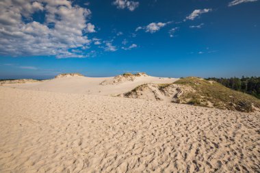 çöl manzarası, slowinski Milli Parkı yakınındaki leba, Polonya