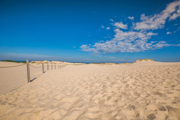 Dunas móviles en el Parque Nacional Slowinski, Polonia —  Fotos de Stock