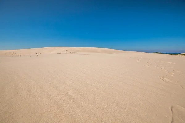 Dune mobili nel Parco Nazionale Slowinski, Polonia — Foto Stock