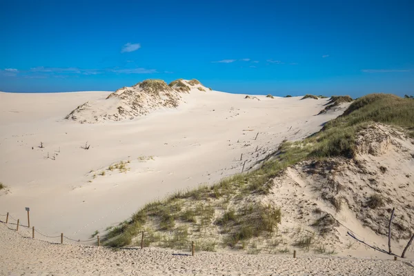 Hareketli kumulları Slowinski Milli Parkı, Polonya