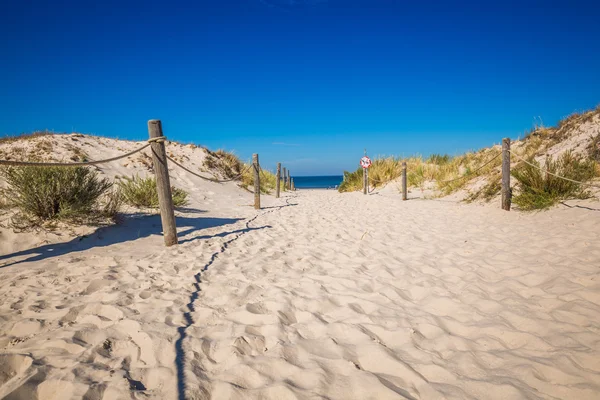 Rörliga sanddyner park nära Östersjön i Łeba, poland — Stockfoto