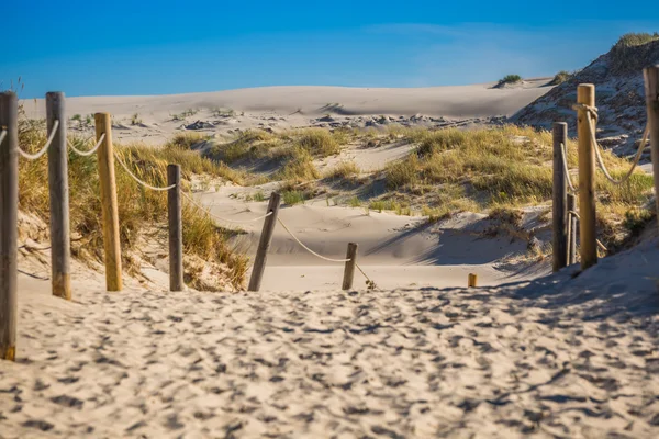 Rörliga sanddyner park nära Östersjön i Łeba, poland — Stockfoto