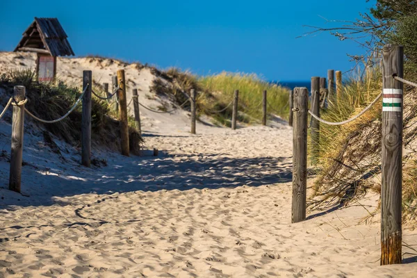 De duinen van het Slowinski nationaal park in Polen — Stockfoto