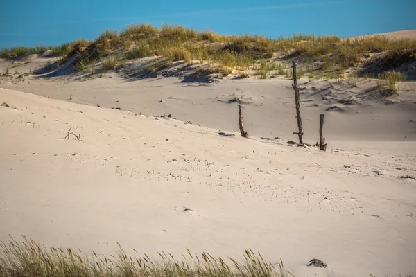 Moving dunes park near Baltic Sea in Leba, Poland — Stock Photo, Image