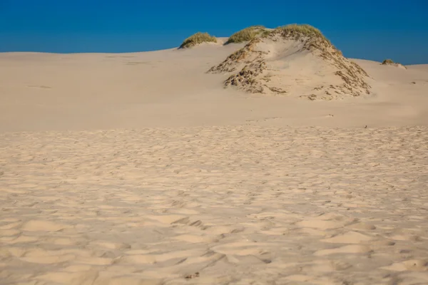 The dunes of the Slowinski national park in Poland — Stock Photo, Image