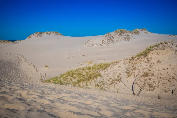 Moving dunes park near Baltic Sea in Leba, Poland — Stock Photo, Image