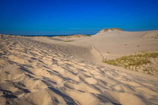 The dunes of the Slowinski national park in Poland — Stock Photo, Image