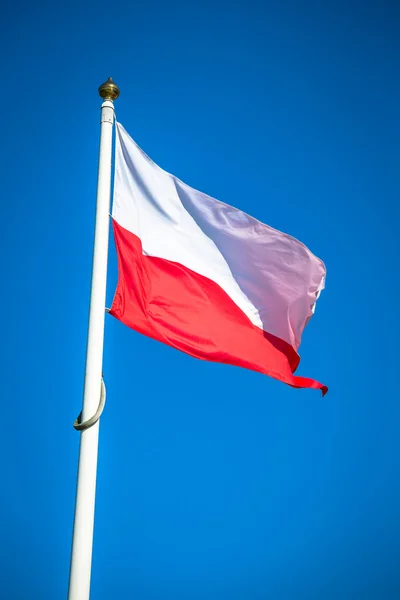 Polish flag on a pole against blue sky — Stock Photo, Image