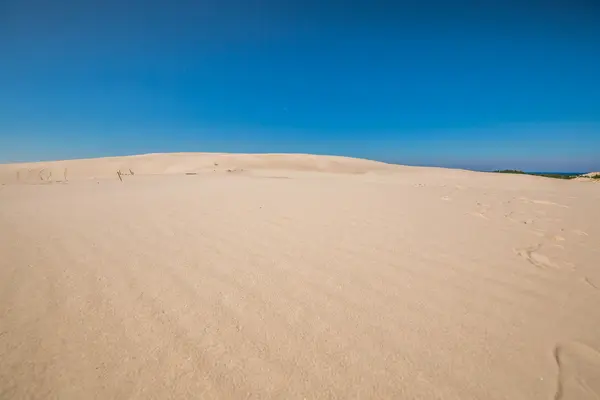 Pohyblivé duny v národním parku Slowinski, Polsko — Stock fotografie