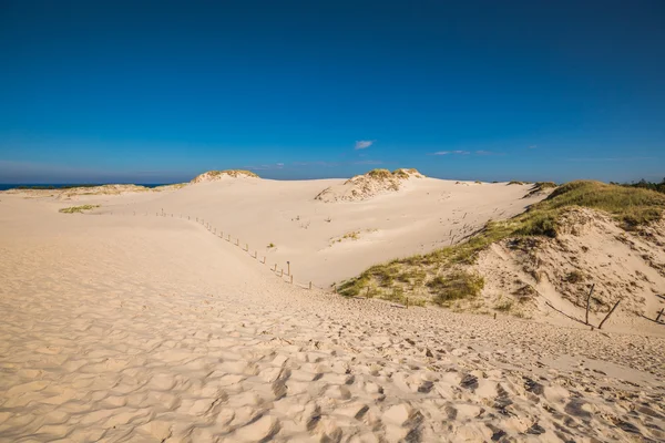 Paisaje del desierto, Parque Nacional Slowinski cerca de Leba, Polonia —  Fotos de Stock