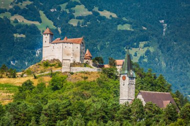 Vaduz castle view, Lichtenstein clipart