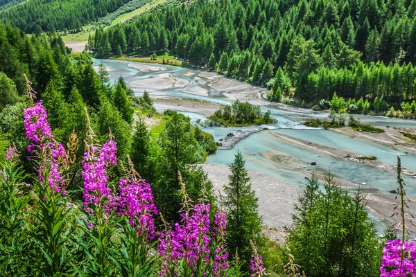 Swiss Alps-river Inn and Pontresina — Stock Photo, Image