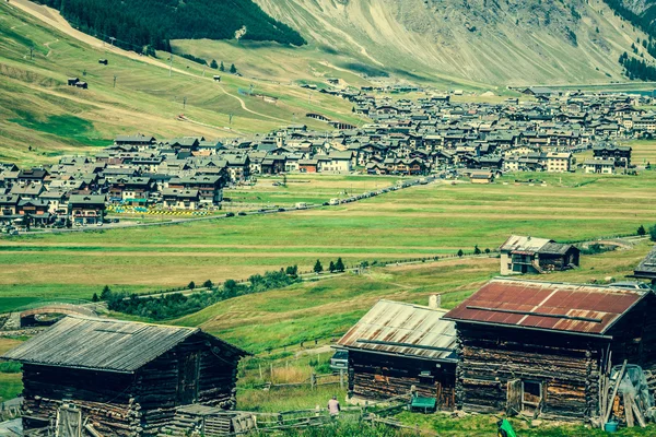 View of Livigno valley in summer — Stock Photo, Image