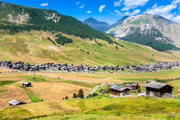 Vista sulla valle di Livigno in estate — Foto Stock