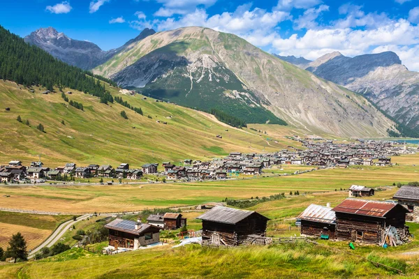 Vista do vale de Livigno no verão — Fotografia de Stock