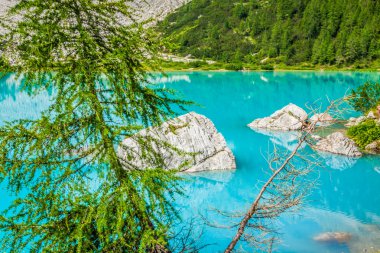 Turkuaz sorapis çam ağaçları ve dolomit Dağları'lake
