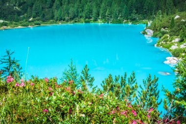 Turkuaz sorapis çam ağaçları ve dolomit Dağları'lake