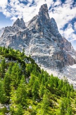 National Park panorama and Dolomiti mountains in Cortina d'Ampez clipart